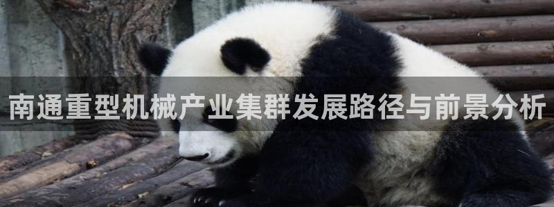 龙八国际这个平台在哪里